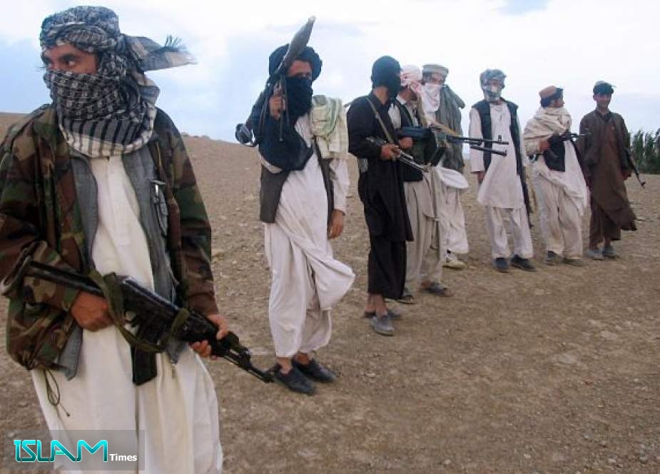 87 Taliban Members Were Killed in 7 Afghanistan’s Provinces