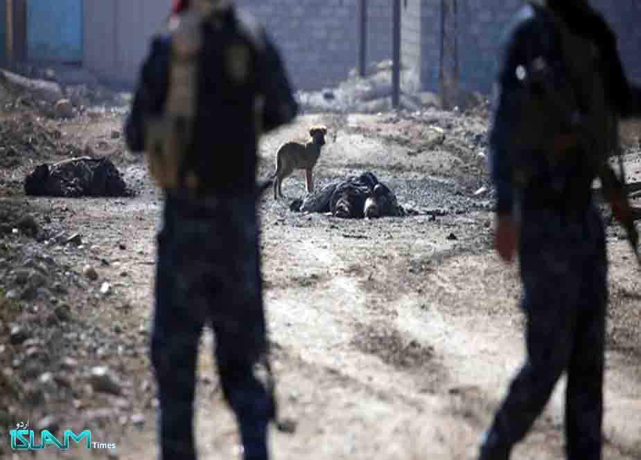 عراقی سکیورٹی فورسز کی شامی سرحد پر کامیاب کارروائی، 3 داعشی ہلاک