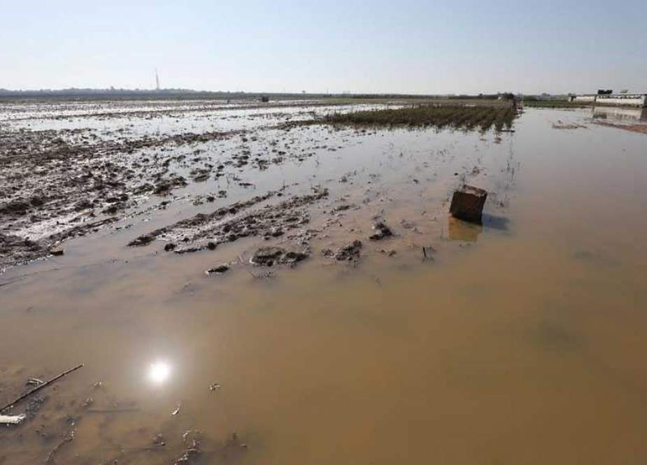 Palestinian Farmlands in Gaza, “Israel” floods with rainwater.jpg