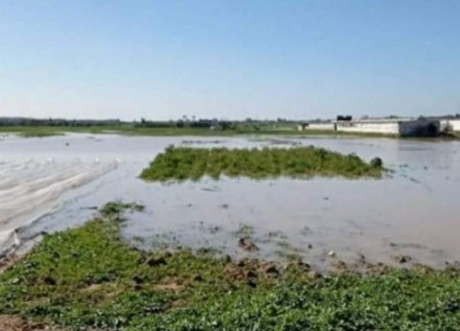 الاحتلال الصهيوني يغرق الاراضي الزراعية في قطاع غزة بمياه الامطار