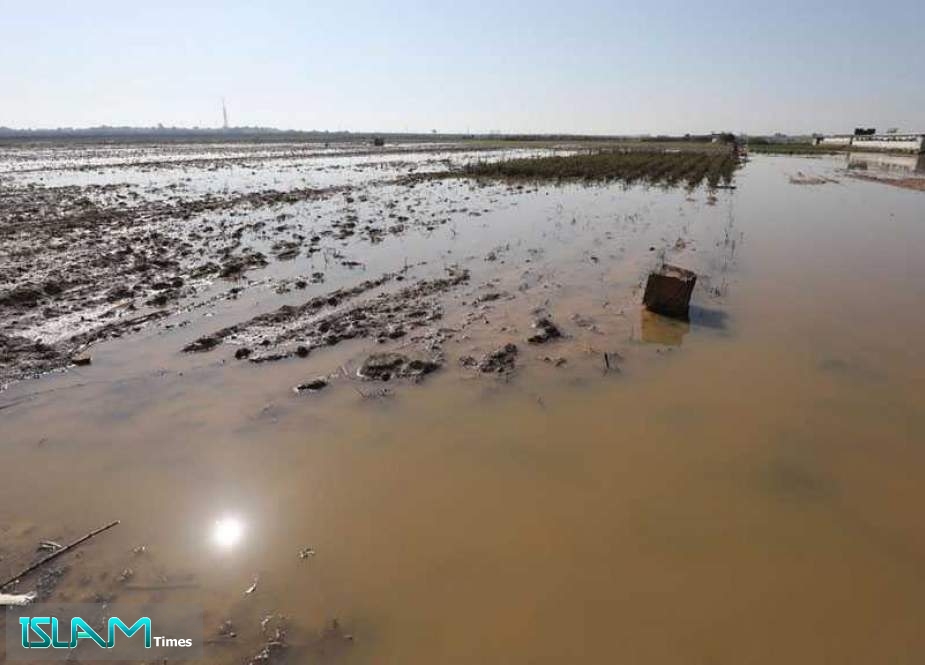 Mother of Terrorism: “Israel” Floods Palestinian Farmlands in Gaza with Rainwater