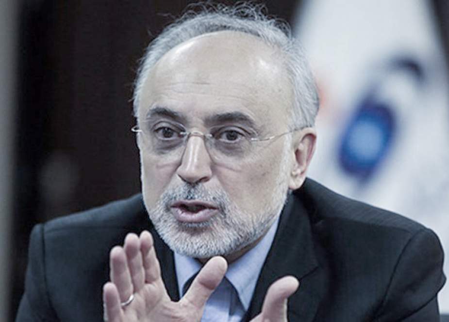 Iran: Kami Akan Menanggapi Jika Dewan IAEA Mengadopsi Resolusi Negatif