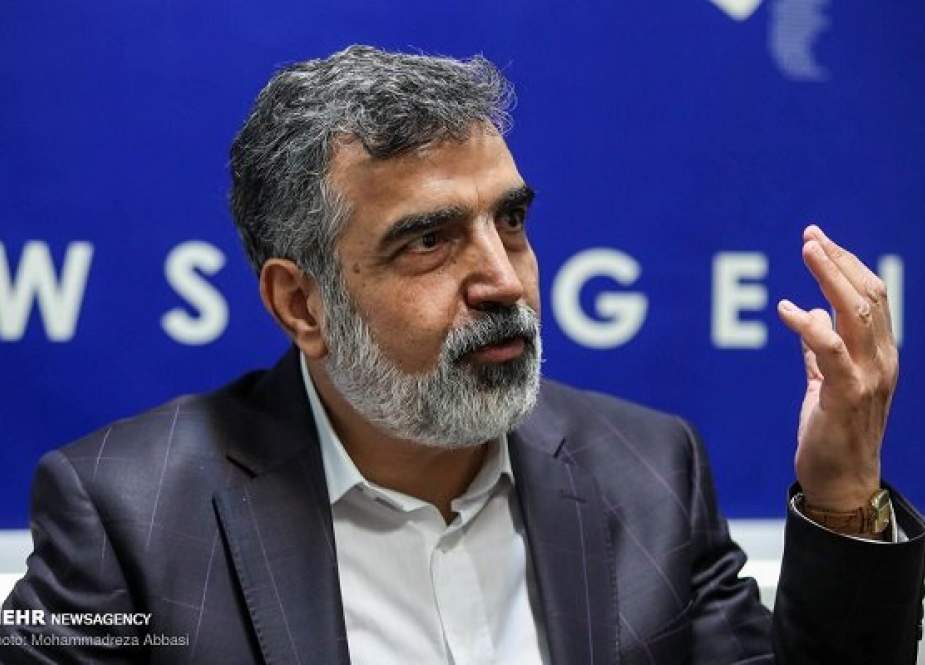 Juru Bicara AEOI: Iran Tak Menerima Tekanan Dan Ancaman