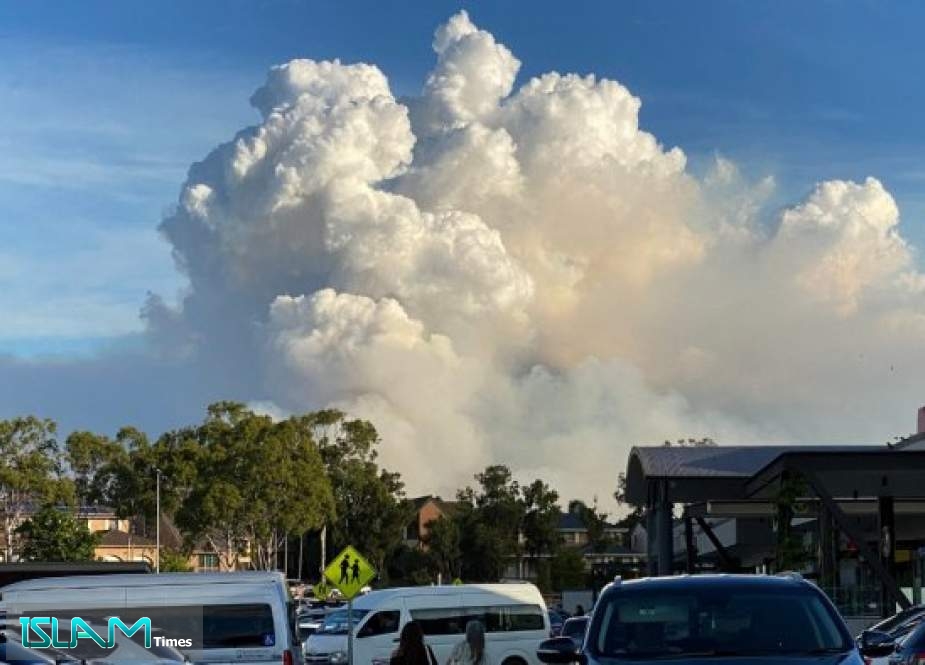 Controlled Bushfire Cloaks Sydney in Hazardous Smoke