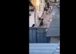 مستوطنون يطلقون الرصاص الحي على فلسطينيين في الشيخ جراح