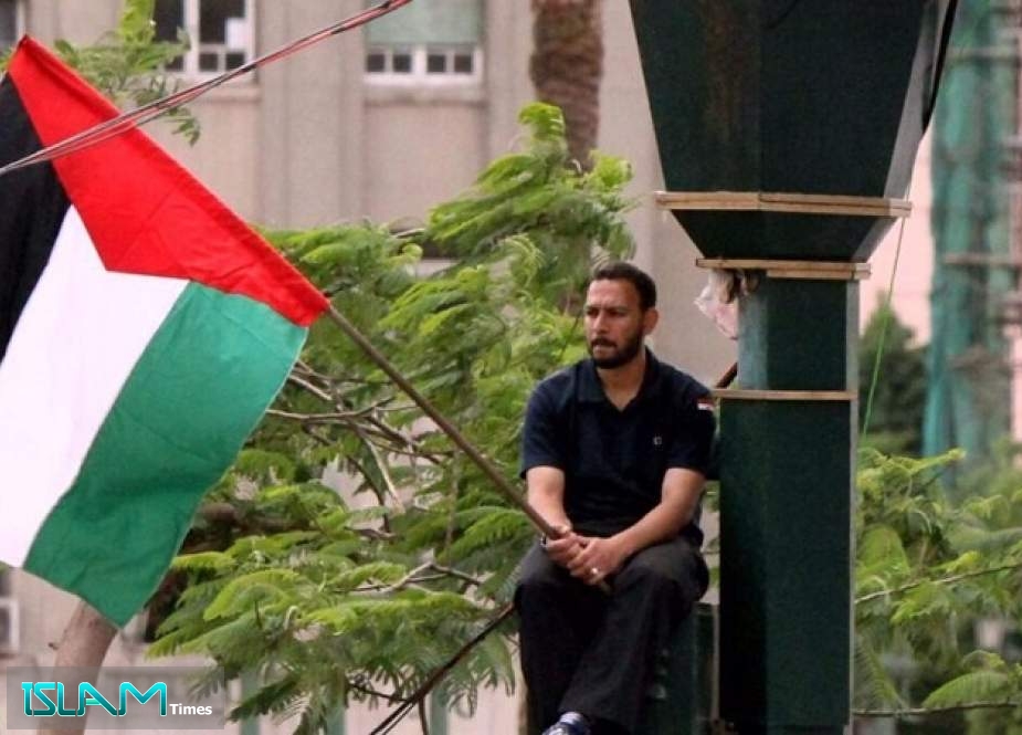 Reports Reveal Egypt’s Double-Standard Attitude Towards Palestine