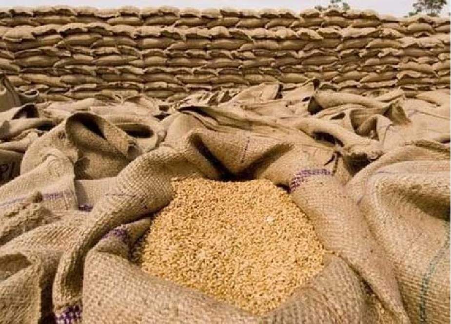 گندم کی قیمت میں اضافہ، آٹا مزید مہنگا ہونے کا خدشہ