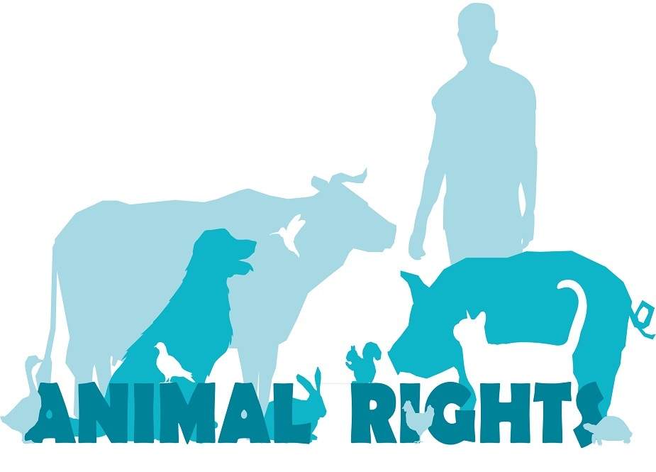 پنجاب حکومت نے جانوروں کو حقوق دینے کیلئے کام شروع کر دیا