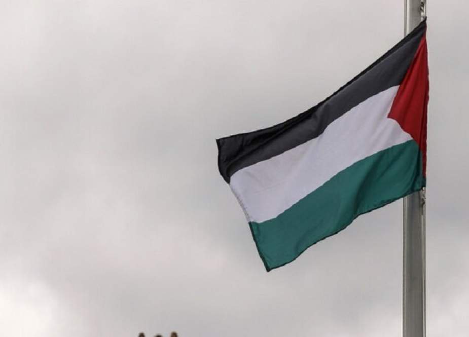 فلسطين: خوف الدول من اتهامها باللاسامية يشجع 