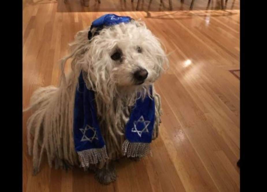 Dog in Jewish Clothing.jpg