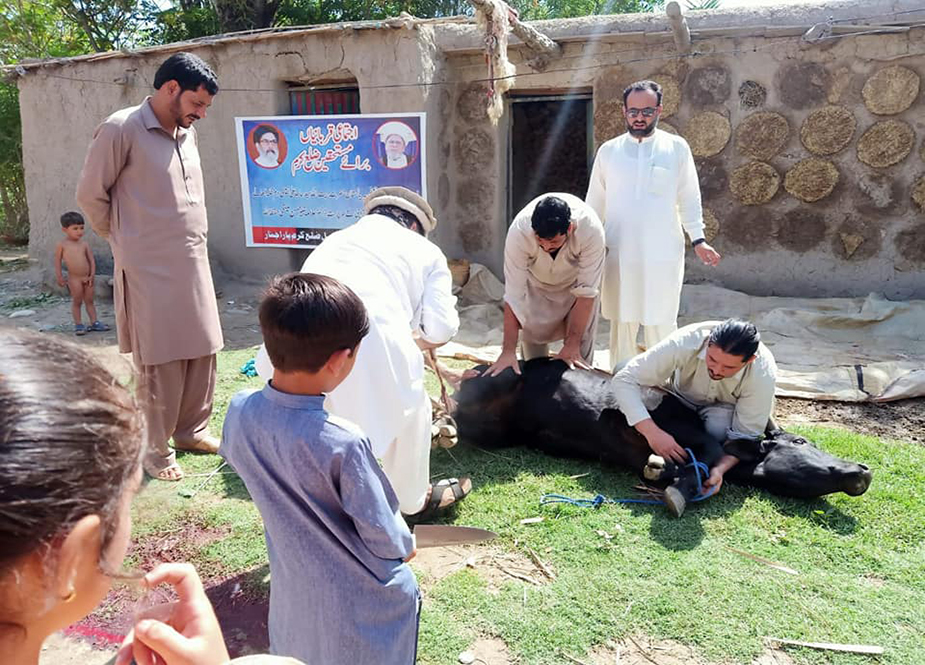 شیعہ علماء کونسل پاکستان اور زہرا اکیڈمی کراچی کے تحت اجتماعی قربانی کے مناظر