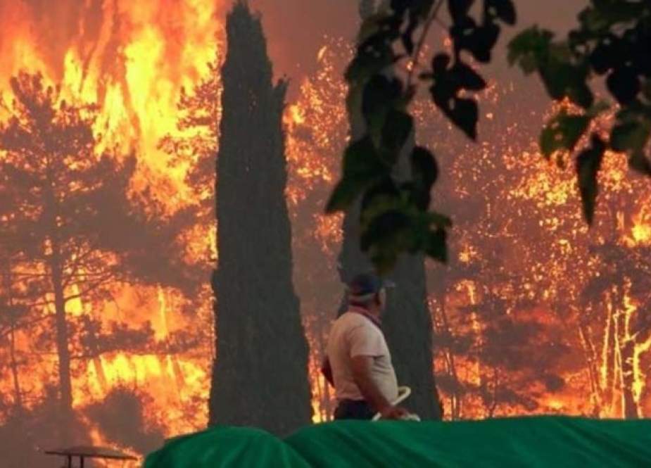 عشرات الإصابات بحريق غابات كبير جنوب تركيا