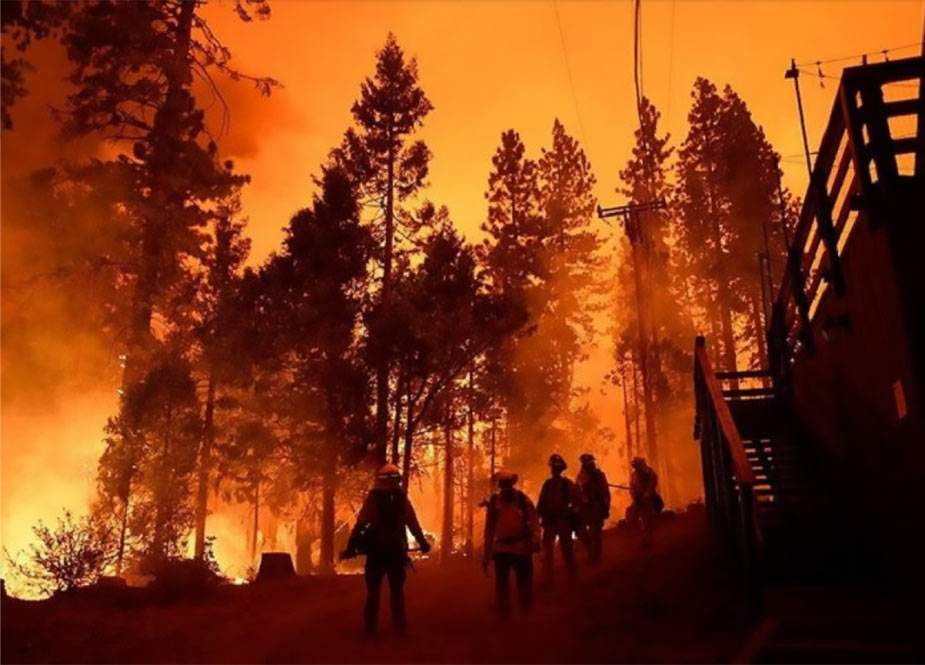 Kaliforniyada meşə yanğınlarına görə 8 nəfər itkin düşüb