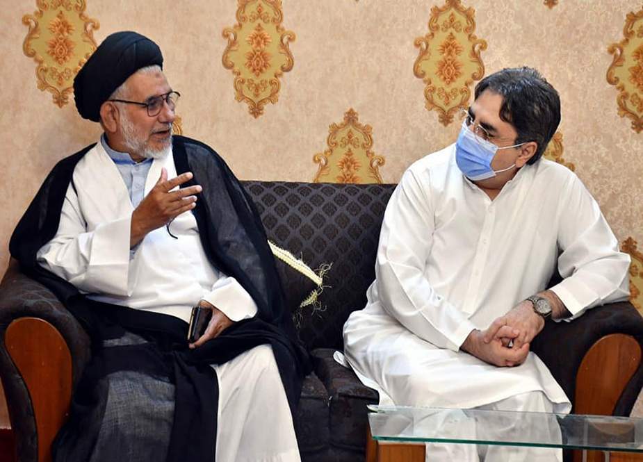 ایم کیو ایم رہنماء عامر خان کی علامہ حسن ظفر نقوی سے ملاقات