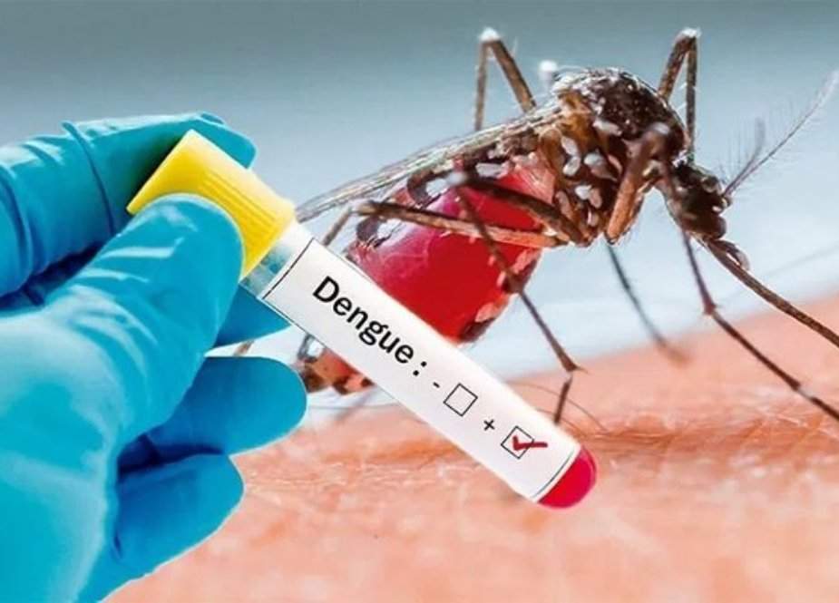بھارت میں ڈینگی بخار کی وبا، 114 افراد ہلاک
