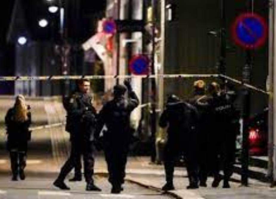 ناروے، تیر کمان بردار شخص کا حملہ، 5 افراد ہلاک