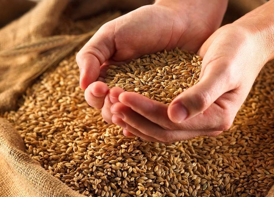 وزارت خزانہ نے گلگت بلتستان میں گندم کی قیمت میں ستر فیصد اضافے کی تجویز دیدی