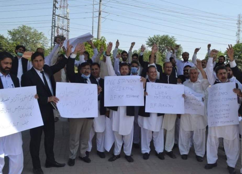 پشاور، تحریک انصاف وکلاء ونگ کا اپنی ہی حکومت کے خلاف احتجاج