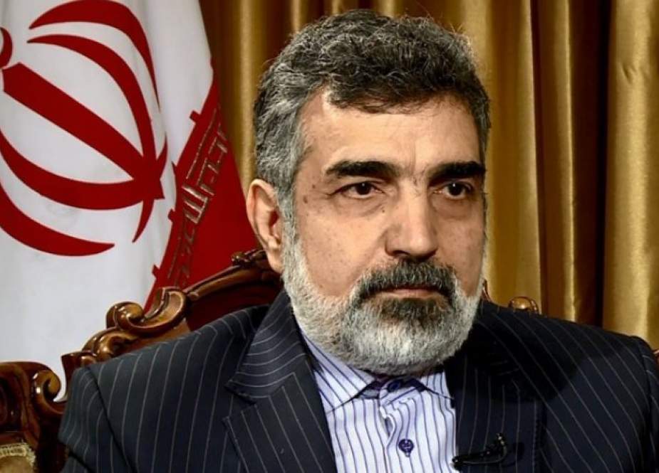 كمالوندي: إيران تهدف الى صناعة نووية سلمية
