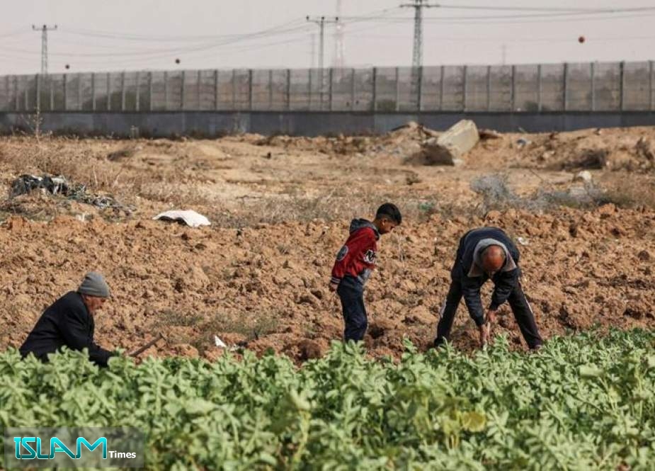 Israeli forces open fire at farmers and shepherds in the Gaza Strip