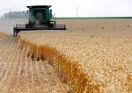 UN warns of rising global food insecurity due to Ukraine conflict
