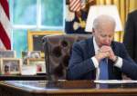 Biden approval rating plummets to 39%