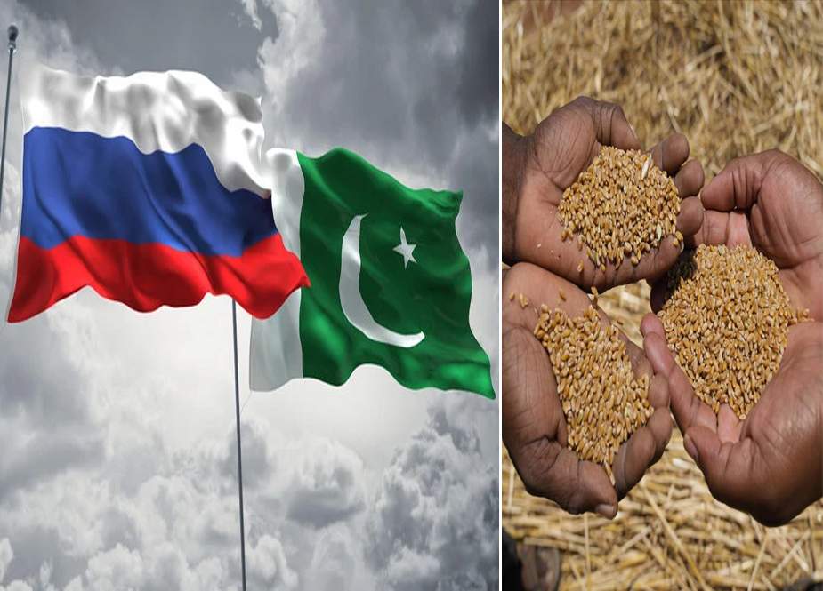 پاکستانی بینکوں کا ایل سی کھولنے سے انکار، روسی گندم کی درآمد کھٹائی میں پڑگئی