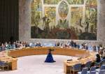 نشست شورای امنیت در مورد افغانستان