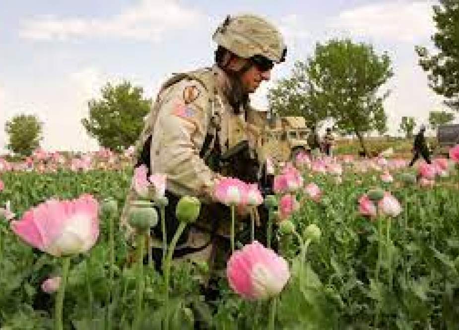 Media: Taliban Mencapai Apa yang Tidak Bisa Dilakukan AS dengan Opium 