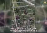 Media Zionis: Patroli Militer Hizbullah pada Kesepakatan Perbatasan Lebanon Memukul Pencegahan Israel  <img src="https://www.islamtimes.org/images/video_icon.gif" width="16" height="13" border="0" align="top">