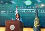 ابراز نگرانی پاکستان درباره حملات احتمالی از خاک افغانستان