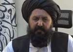 طالبان: به هیچ کشوری اجازه اذیت و آزار مهاجرین افغان را نمی دهیم