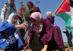 West Bank Becoming Second Gaza in Resistance to Israeli Atrocities