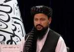 سرپرست وزارت انرژی و آب گروه طالبان: القاعده برادر ما است نه گروه تروریستی