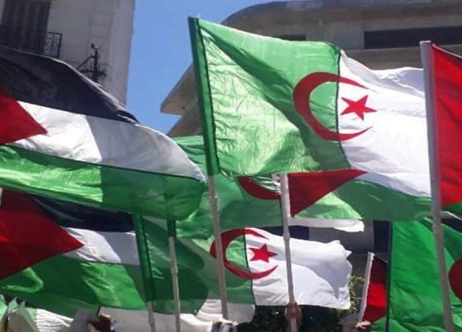 الجزائر.. حملة كبرى لمحاكمة كيان الاحتلال ‘‘الإسرائيلي‘‘