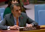 پاکستان: سازمان ملل در مورد چگونگی دستیابی «تحریک طالبان» به سلاح‌های مدرن تحقیق کند