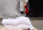 UNRWA Falling Victim to Israeli-Western Camp Enraged by ICJ Ruling