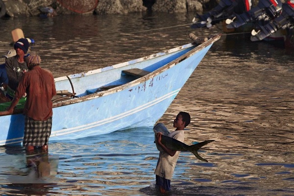 ماہی گیری سے وابستہ یمنیوں کی ایک جھلک