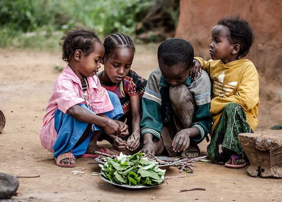 وفاة 2400 سوداني في جبل مرة بسبب سوء التغذية