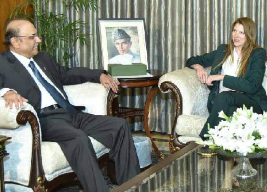 آصف علی زرداری سے برطانوی ہائی کمشنر کی ملاقات، تجارتی، اقتصادی تعلقات مضبوط بنانے پر زور