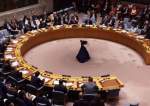 Members meet for a United Nations Security Council meeting in New York City, the US