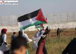 فلسطین، وطن جاودانه فلسطینیان