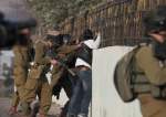 الاحتلال يعتقل 3 شبان من الدهيشة و 5 فلسطينيين من الخليل