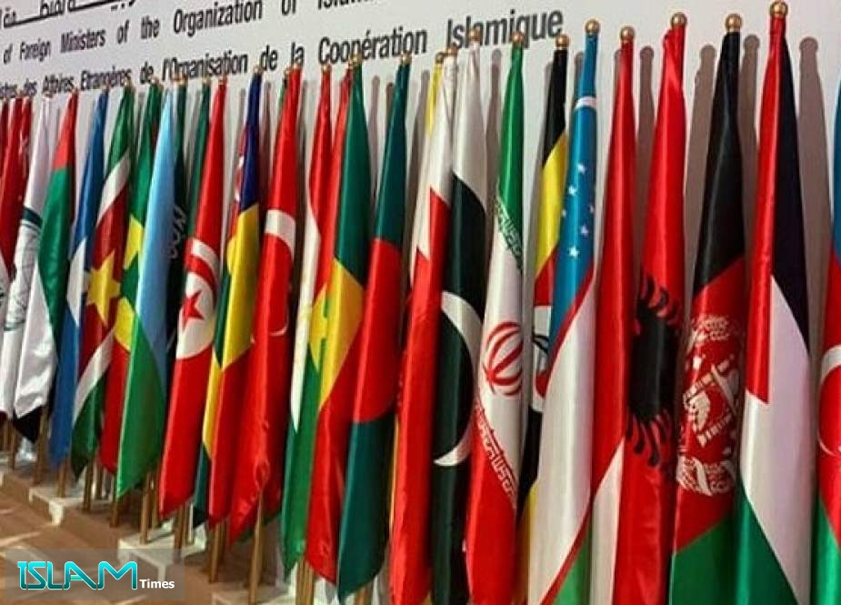 OIC Slams US for Vetoing Palestine Bid for Full UN Membership
