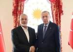 حماس رہنماء اسماعیل ہنیہ کی ترک صدر اردوان سے اہم ملاقات