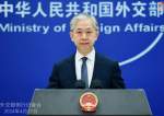 Chinese FM Spox: Gaza War Shows Meaning of Human Rights for US