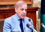 معاشی استقامت کے لئے وفاق اور صوبوں کو قریبی تعلق بنانا پڑے گا، وزیر اعظم شہباز شریف