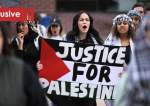 Pro-Palestine rallies in US