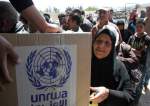 Germany to Resume UNRWA Funding