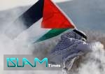 سويسرا.. إغلاق معهد أبحاث بسبب منشور يدعم فلسطين